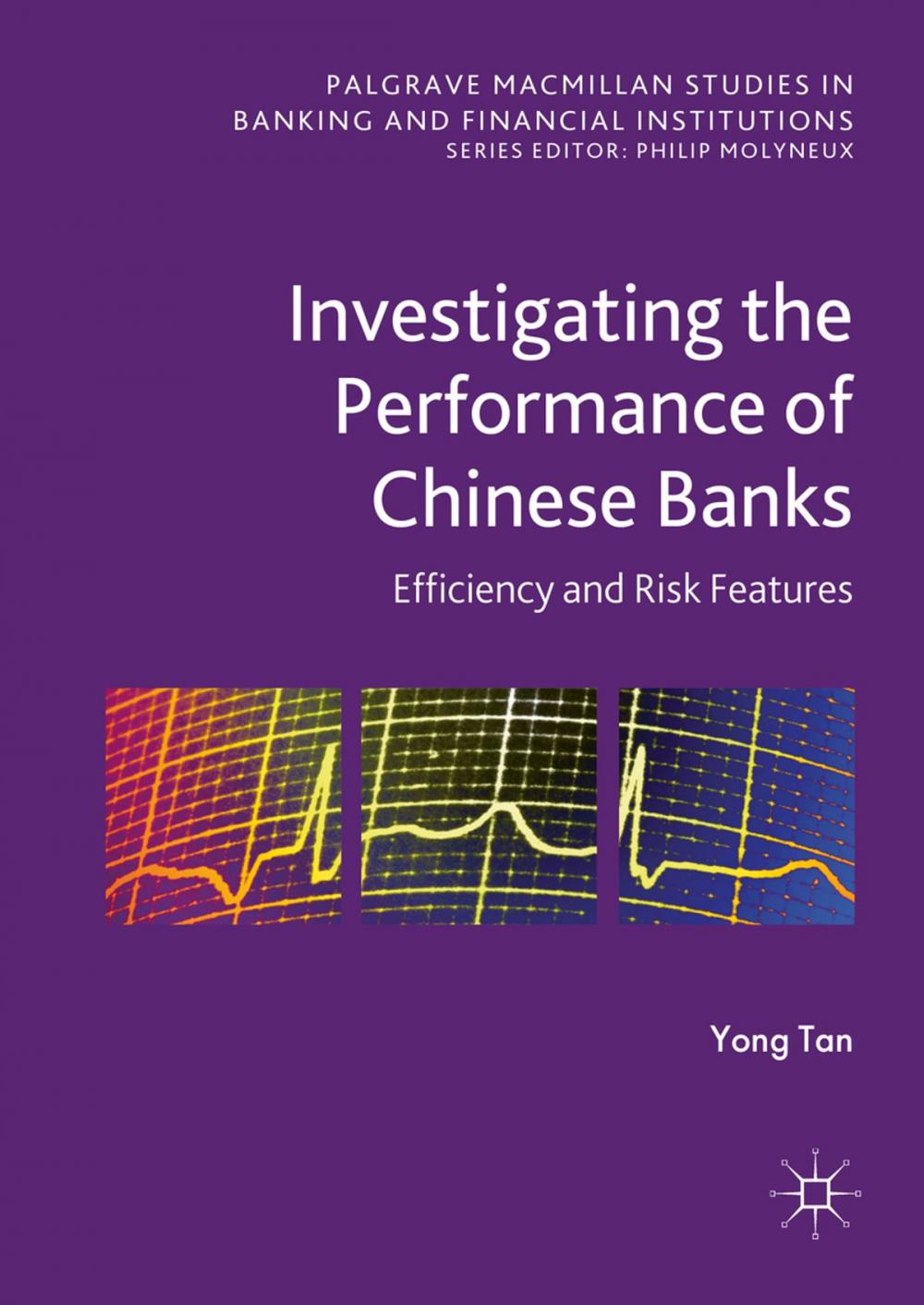 Big bigCover of Investigating the Performance of Chinese Banks: Efficiency and Risk Features
