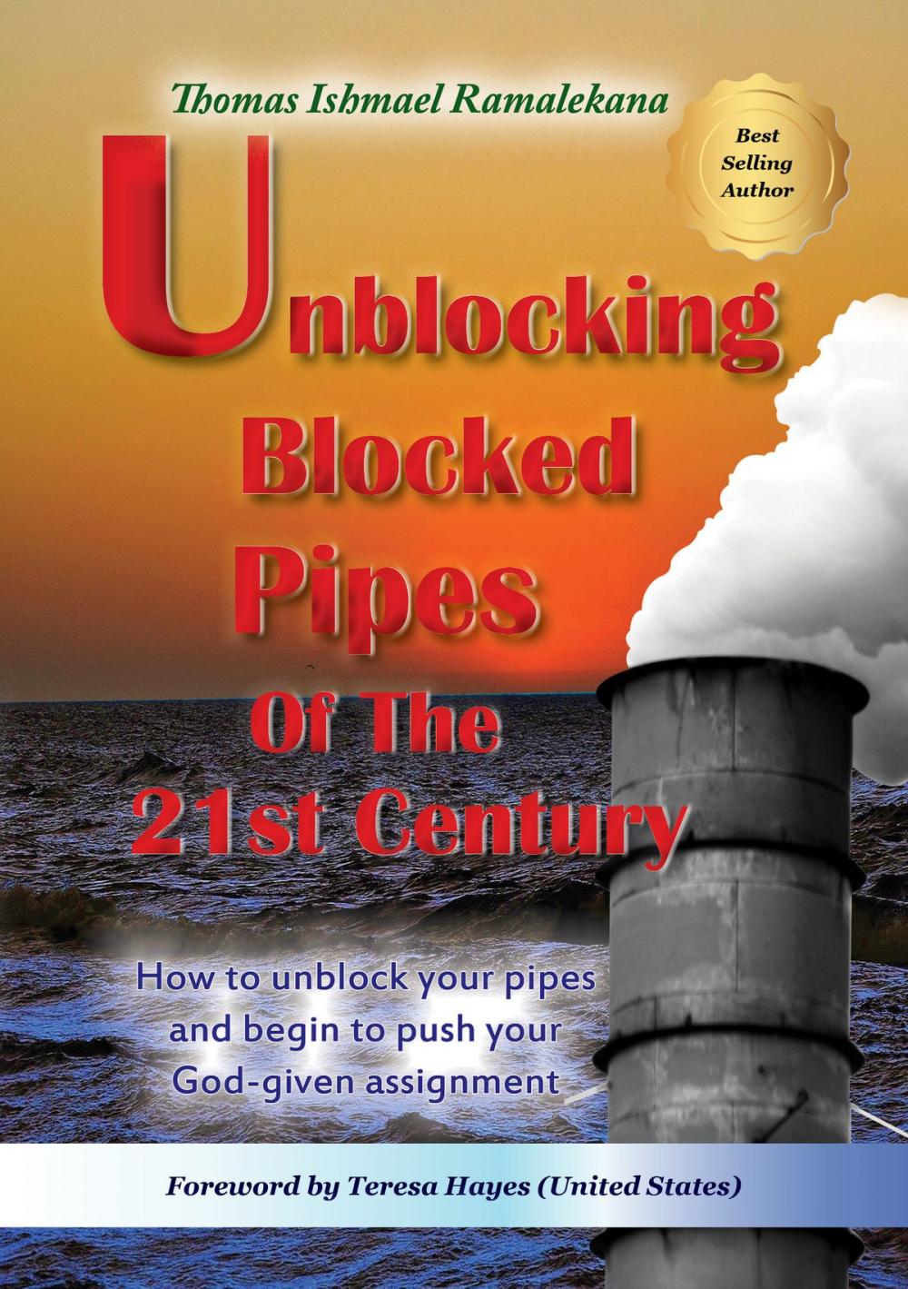 Big bigCover of Unblocking Blocked Pipes Of The 21st Century