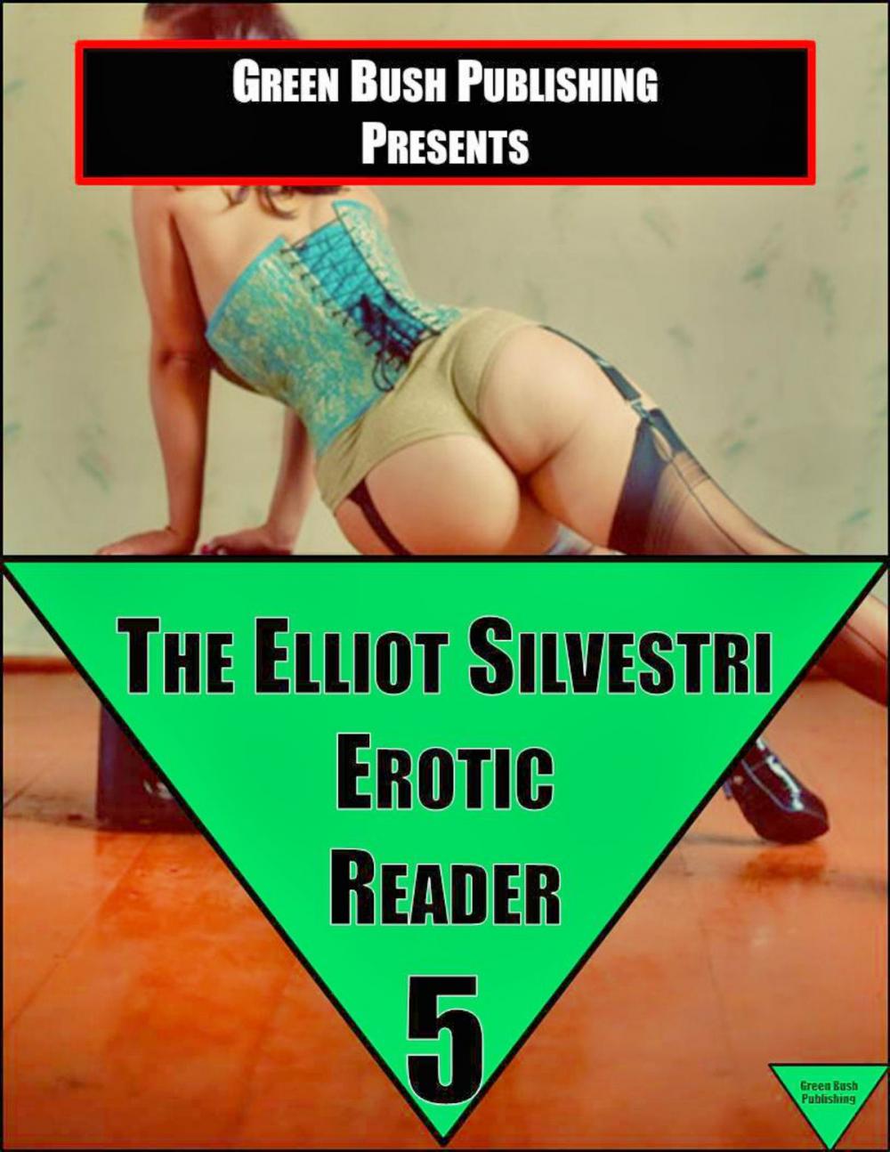 Big bigCover of The Elliot Silvestri Erotic Reader Volume 5