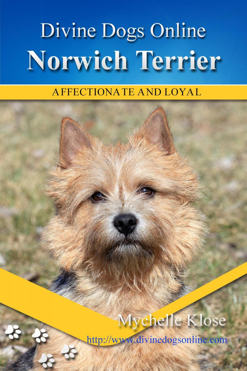 Big bigCover of Norwich Terrier
