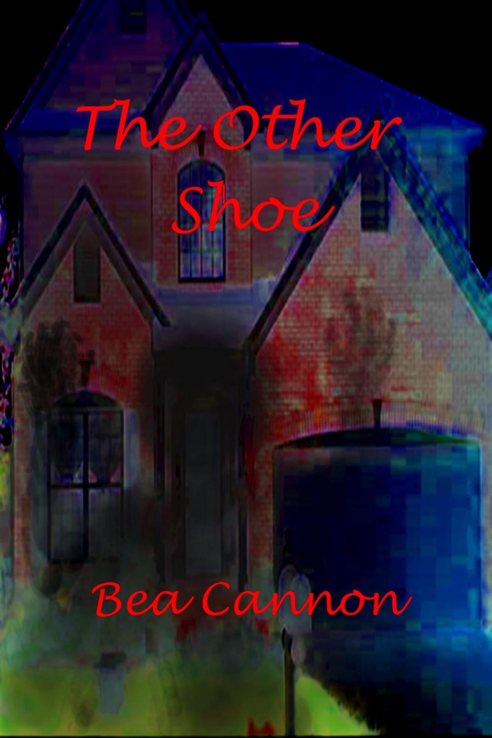 Big bigCover of The Other Shoe