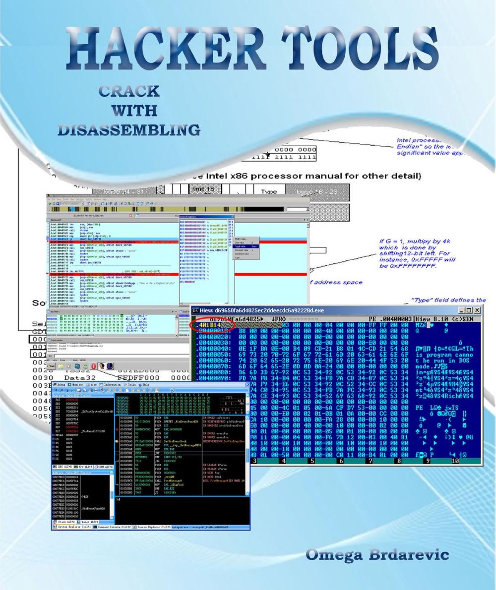 Big bigCover of HackerTools Crack With Disassembling