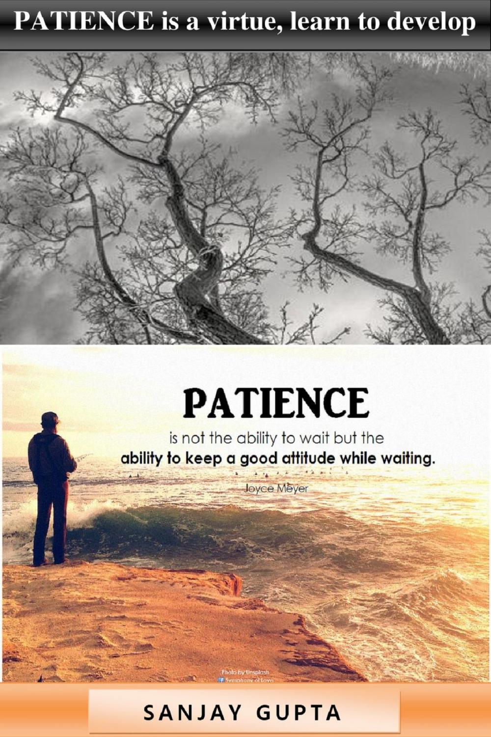 Big bigCover of Patience Is Virtue, Learn to Develop Patience!