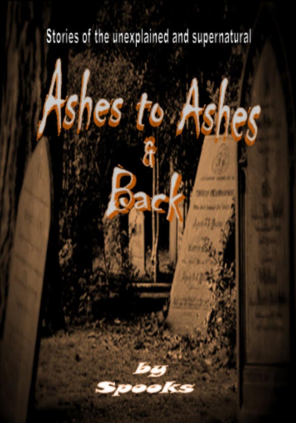 Big bigCover of Ashes to Ashes & Back