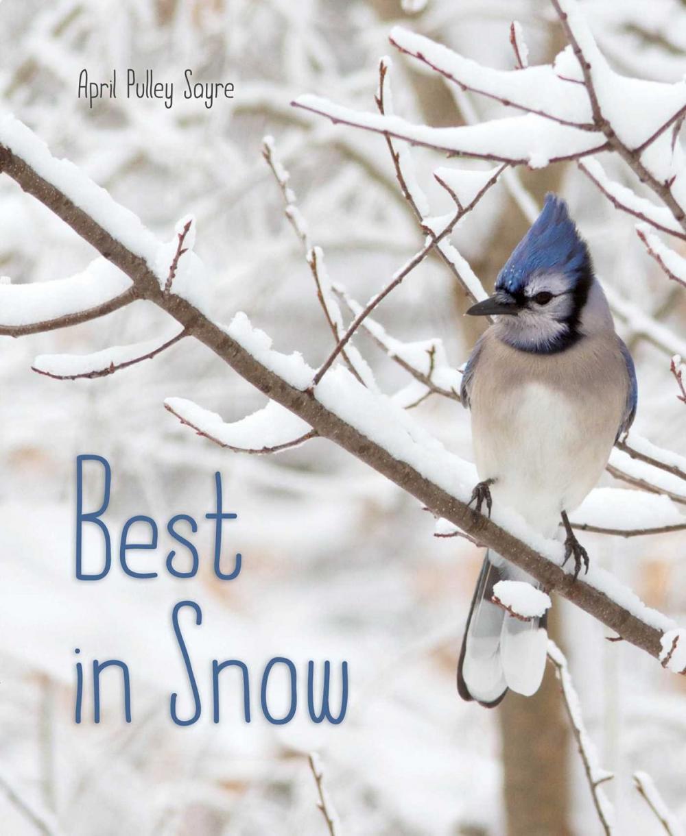 Big bigCover of Best in Snow