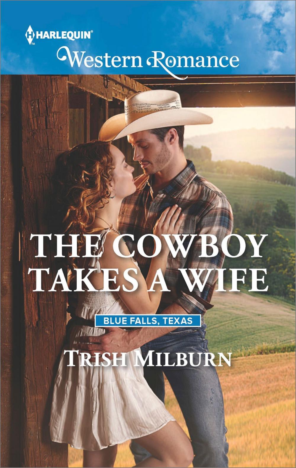 Big bigCover of The Cowboy Takes a Wife