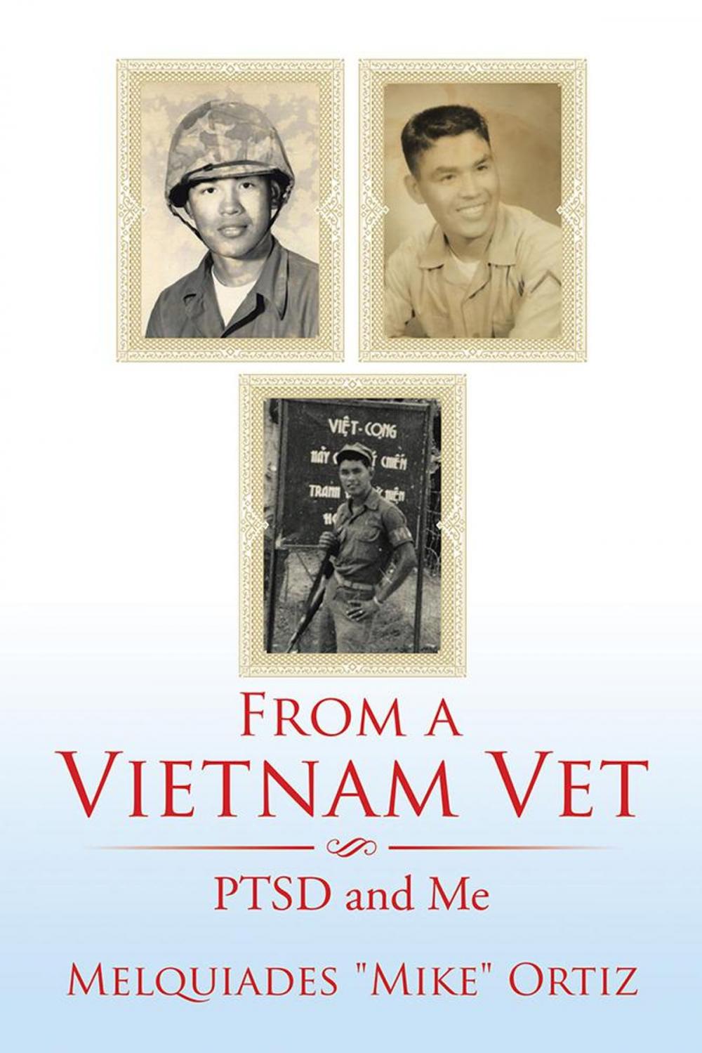 Big bigCover of From a Vietnam Vet