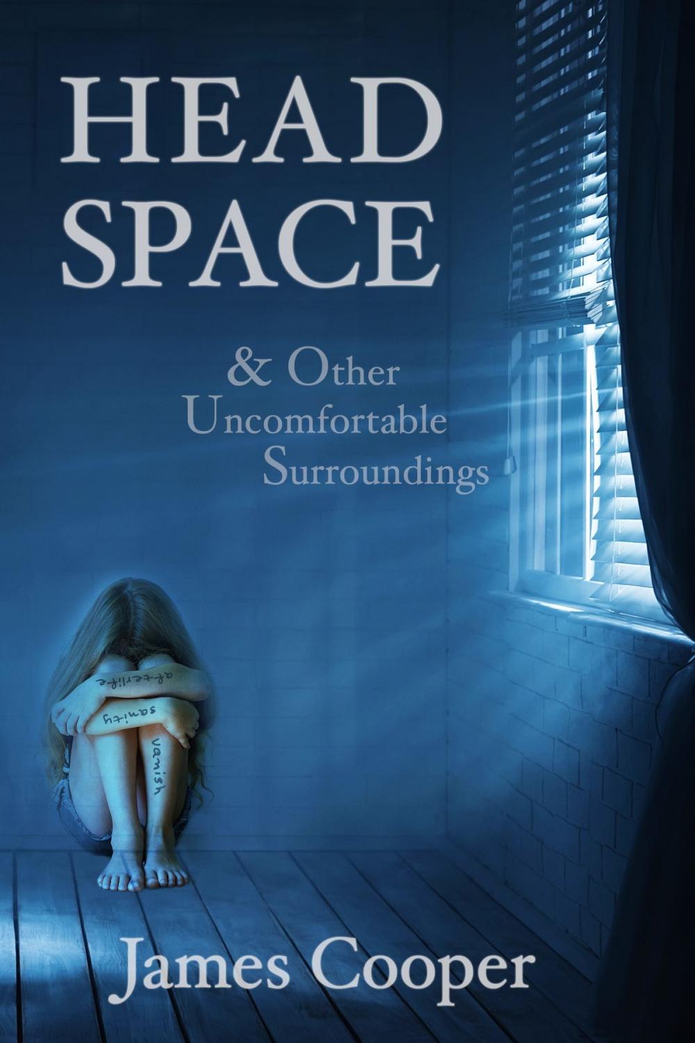 Big bigCover of Head Space & Other Uncomfortable Surroundings