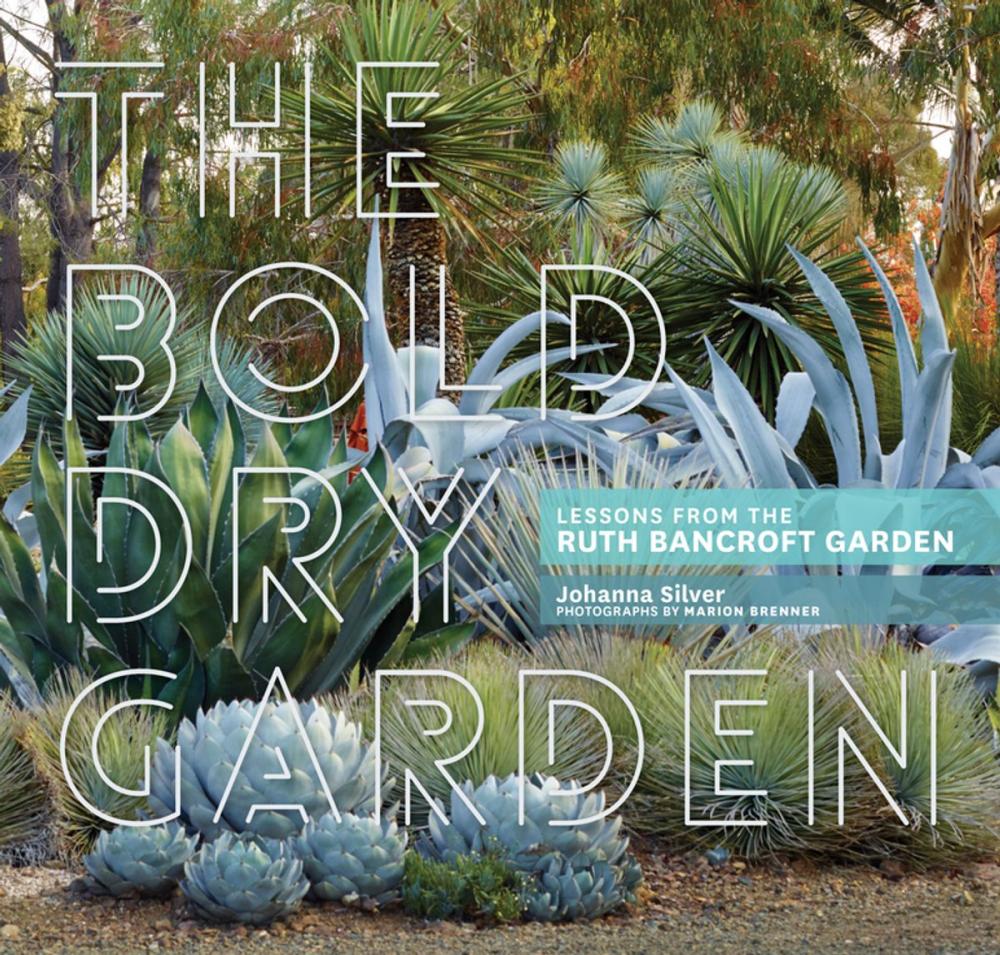 Big bigCover of The Bold Dry Garden