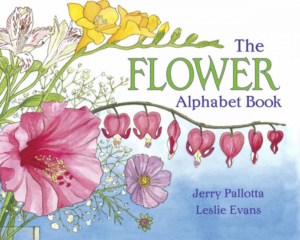 Big bigCover of The Flower Alphabet Book