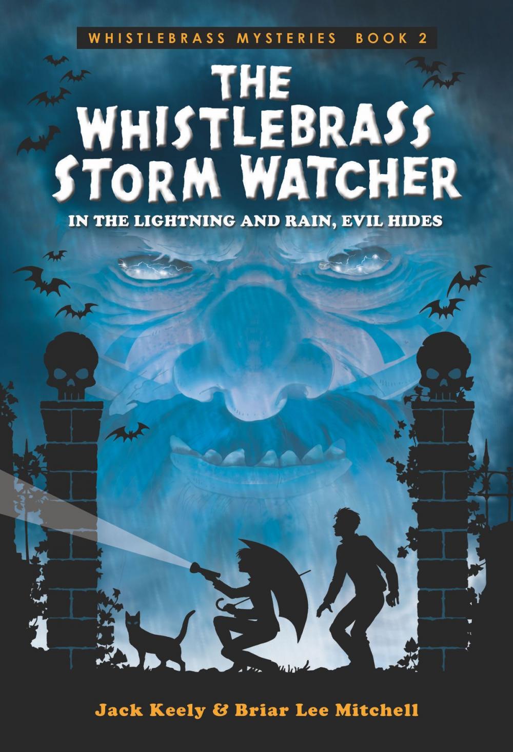 Big bigCover of The Whistlebrass Storm Watcher