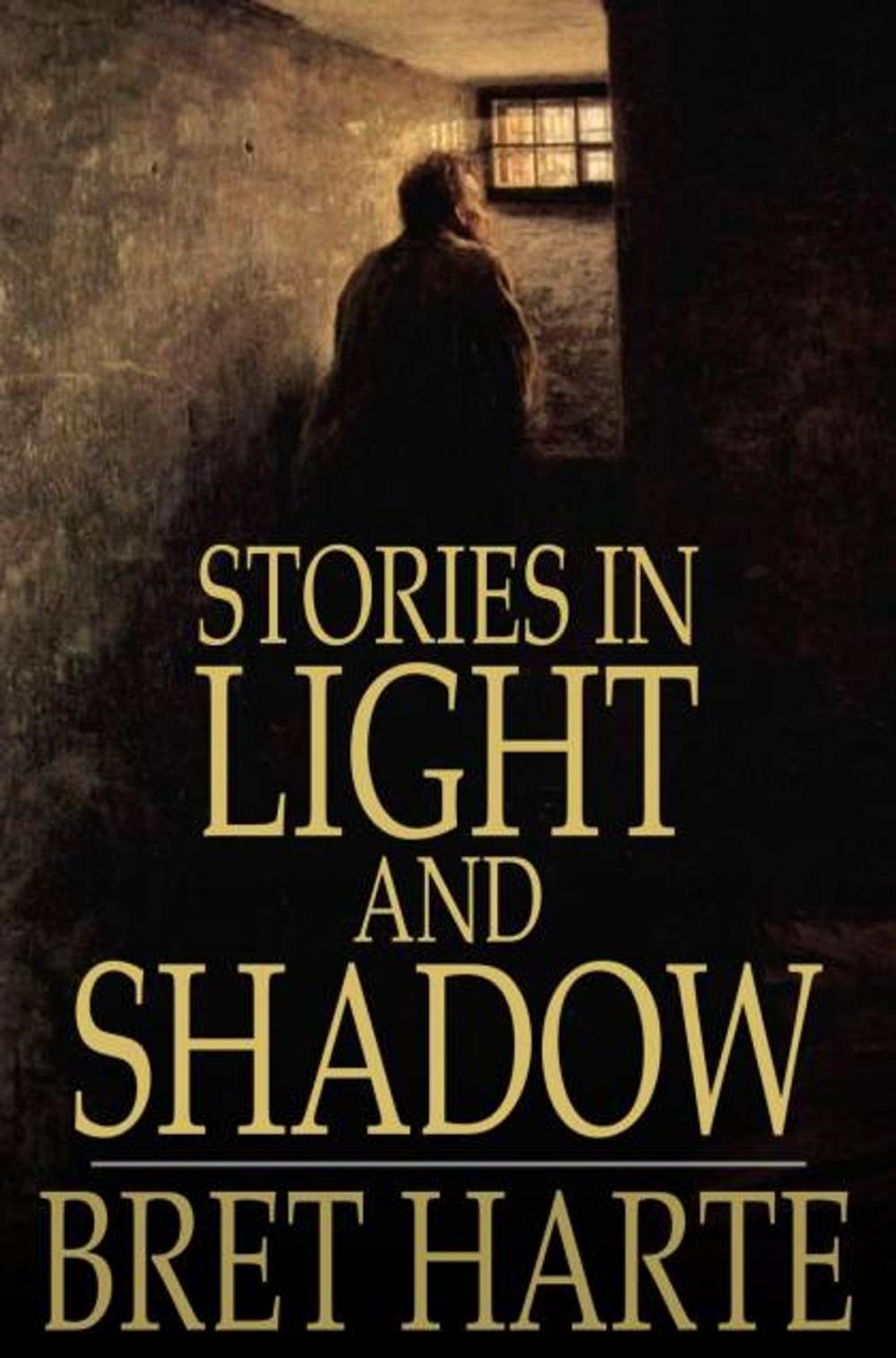 Big bigCover of Stories in Light and Shadow