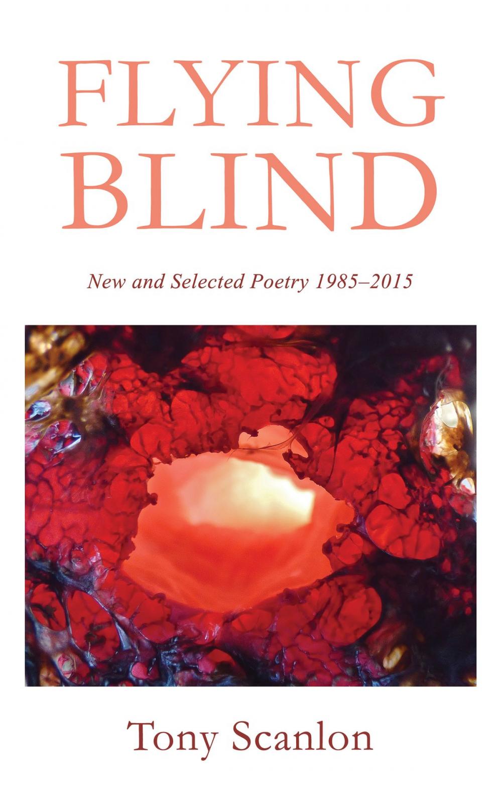 Big bigCover of Flying Blind: New and Selected Poetry 1985-2015