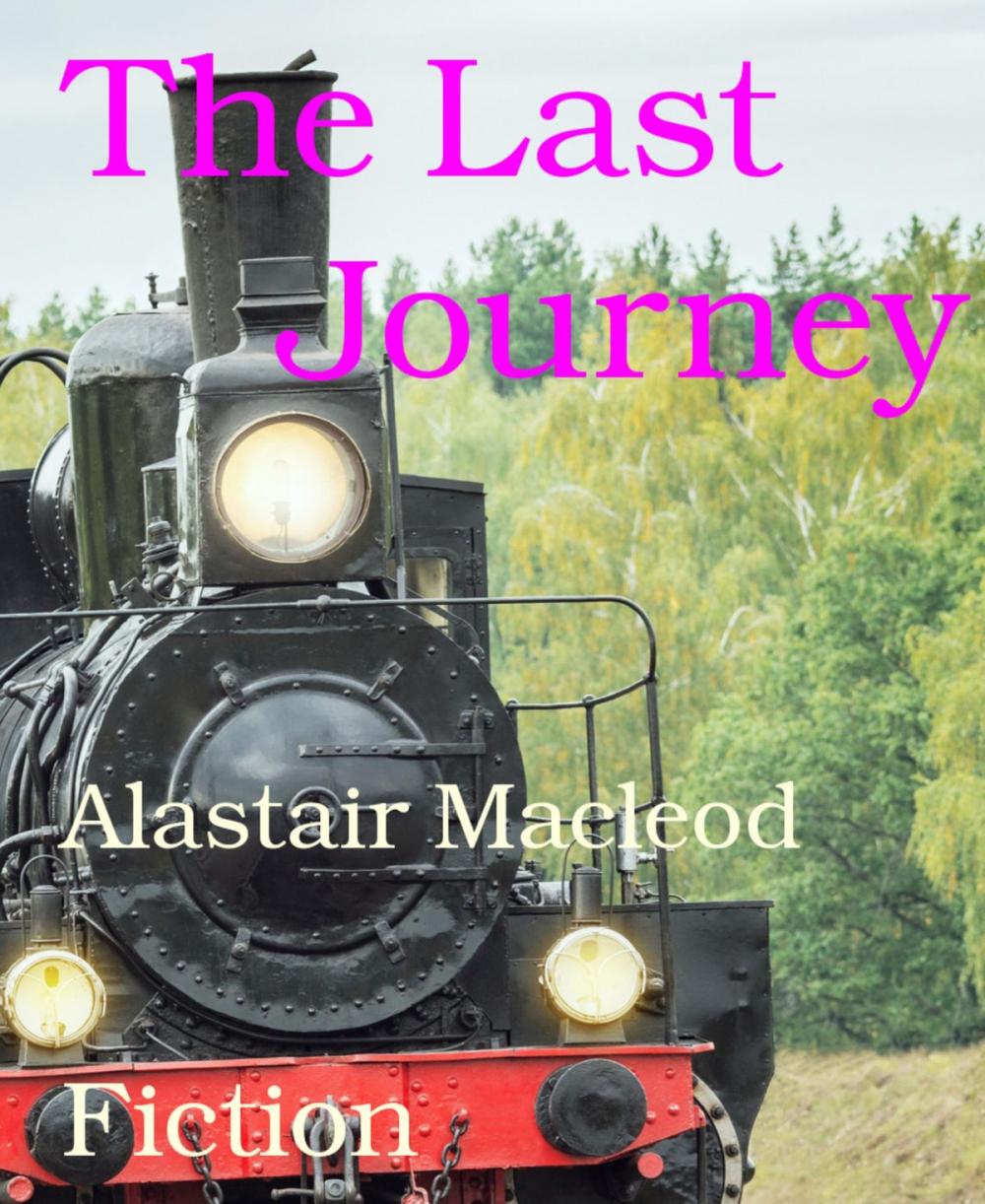 Big bigCover of The Last Journey