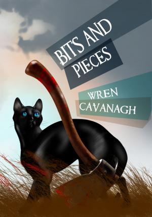 Cover of Bits and Pieces