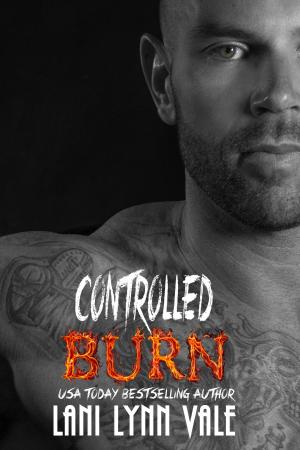 Cover of the book Controlled Burn by Bethany Michaels