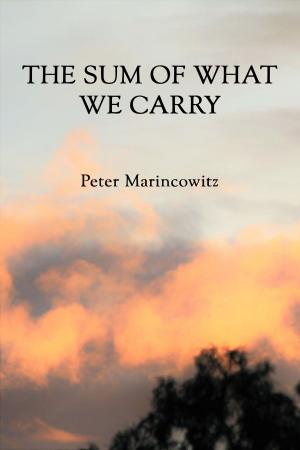 Cover of the book The sum of what we carry by ADAM ADAMS