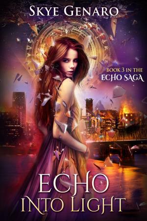 Cover of the book Echo Into Light by Brighid