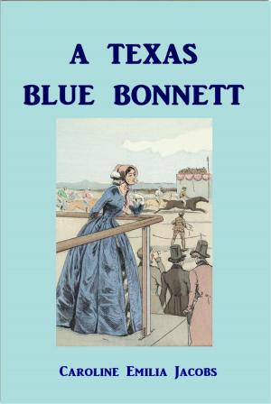 Cover of the book A Texas Blue Bonnett by Harold MacGrath