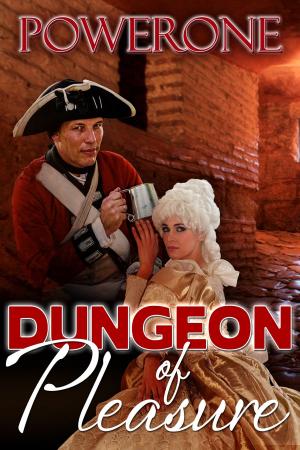Book cover of Dungeon of Pleasure