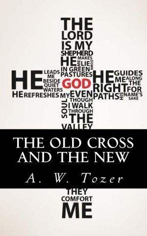 Cover of the book The Old Cross and the New by Andrew Ten Brook