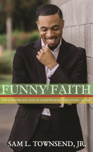 bigCover of the book FUNNY FAITH by 