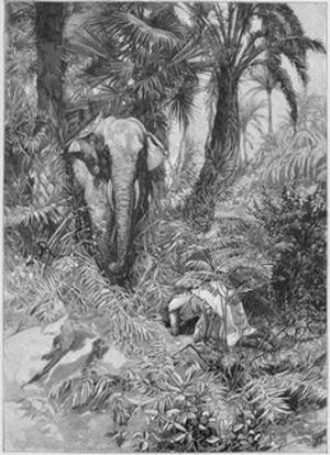 Cover of Mémoires d’un Éléphant blanc