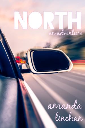 Cover of the book North by Lupine King