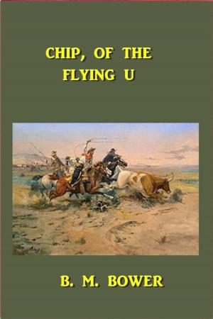 Cover of the book Chip, of the Flying U by Horatio Alger
