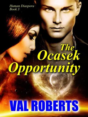 Book cover of The Ocasek Opportunity