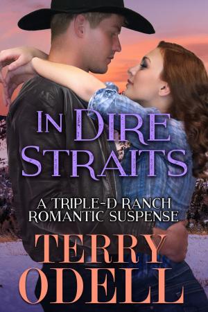 Cover of the book In Dire Straits by Anna Elliott