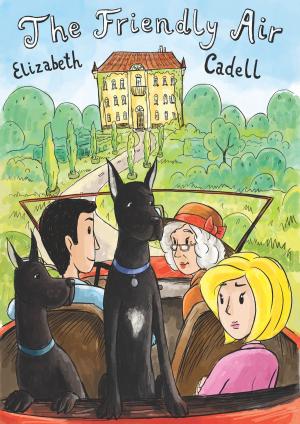 Cover of the book The Friendly Air by Elizabeth Cadell