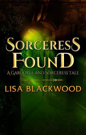 Book cover of Sorceress Found