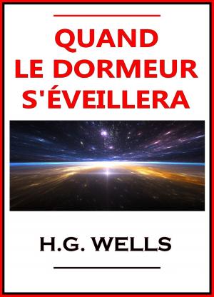 Cover of the book Quand le dormeur s'éveillera by Alex Ramaillo