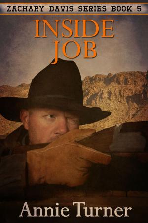 Cover of the book Inside Job by Annie Turner