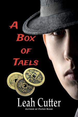 Cover of the book A Box of Taels by Blaze Ward