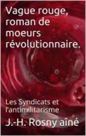 Cover of Vague rouge, roman de moeurs révolutionnaire.
