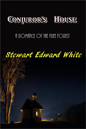 Cover of the book Conjuror's House by Thomas G. Blacklock