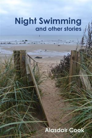 Cover of the book Night Swimming and other stories by Sophie Weston