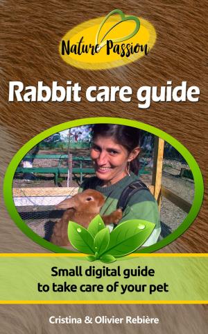Book cover of Rabbit care guide