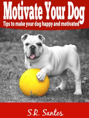 Cover of the book Motivate Your Dog - Tips to Make Your Dog Happy And Motivated by S. A. Manwiller