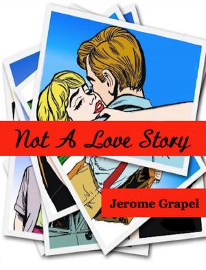 Cover of the book Not a Love Story by Jack Mazur