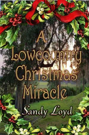Book cover of A Lowcountry Christmas Miracle