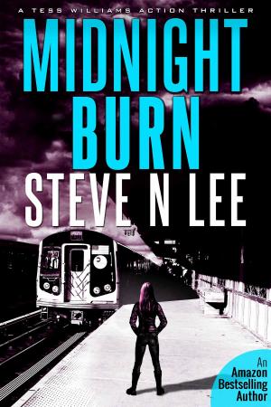 Book cover of Midnight Burn: an Action Thriller