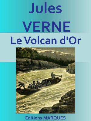 Book cover of Le Volcan d'Or