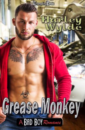 Cover of the book Grease Monkey -- A Bad Boy Romance by Tuesday Morrigan, Camille Anthony, Silvia Violet, Elizabeth Jewell, Lacey Savage, B.J. McCall, Kira Stone