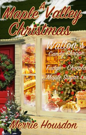 bigCover of the book A Maple Valley Christmas by 