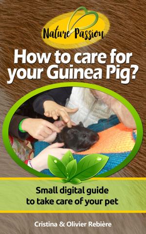Cover of the book How to care for your Guinea Pig? by Cristina Rebiere, Olivier Rebiere