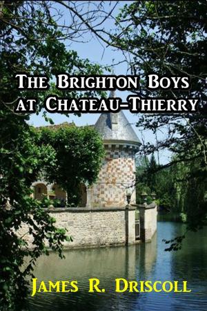 Book cover of The Brighton Boys at Chateau-Thierry