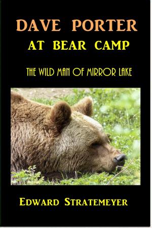 Cover of the book Dave Porter at Bear Camp by Horatio Alger